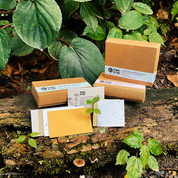 Presentation card box