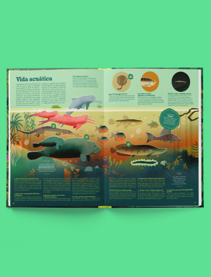 Atlas de la amazonía