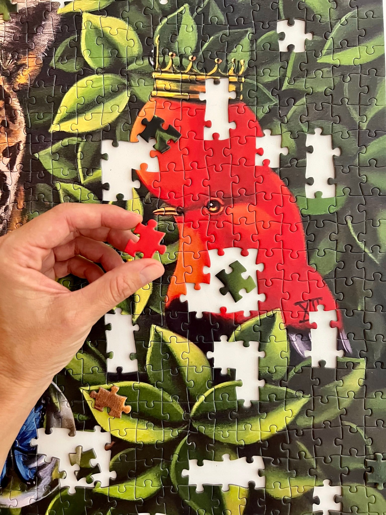 Puzzle The Jaguar's Dream, César Caycho