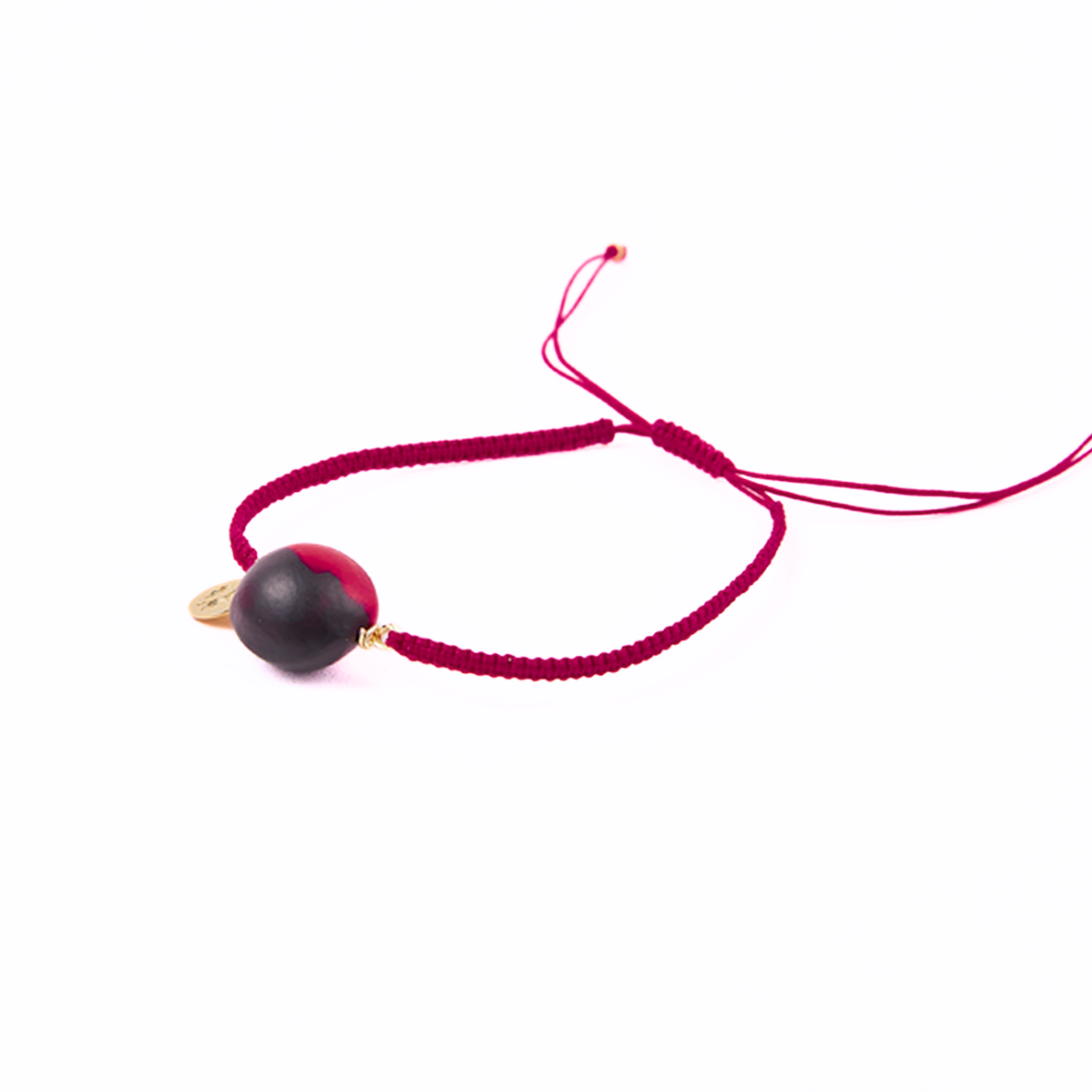 PARAPARA-ROJA.png