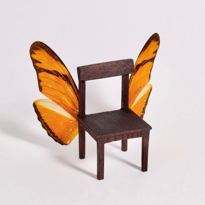 Silla Alada Lepidopterae