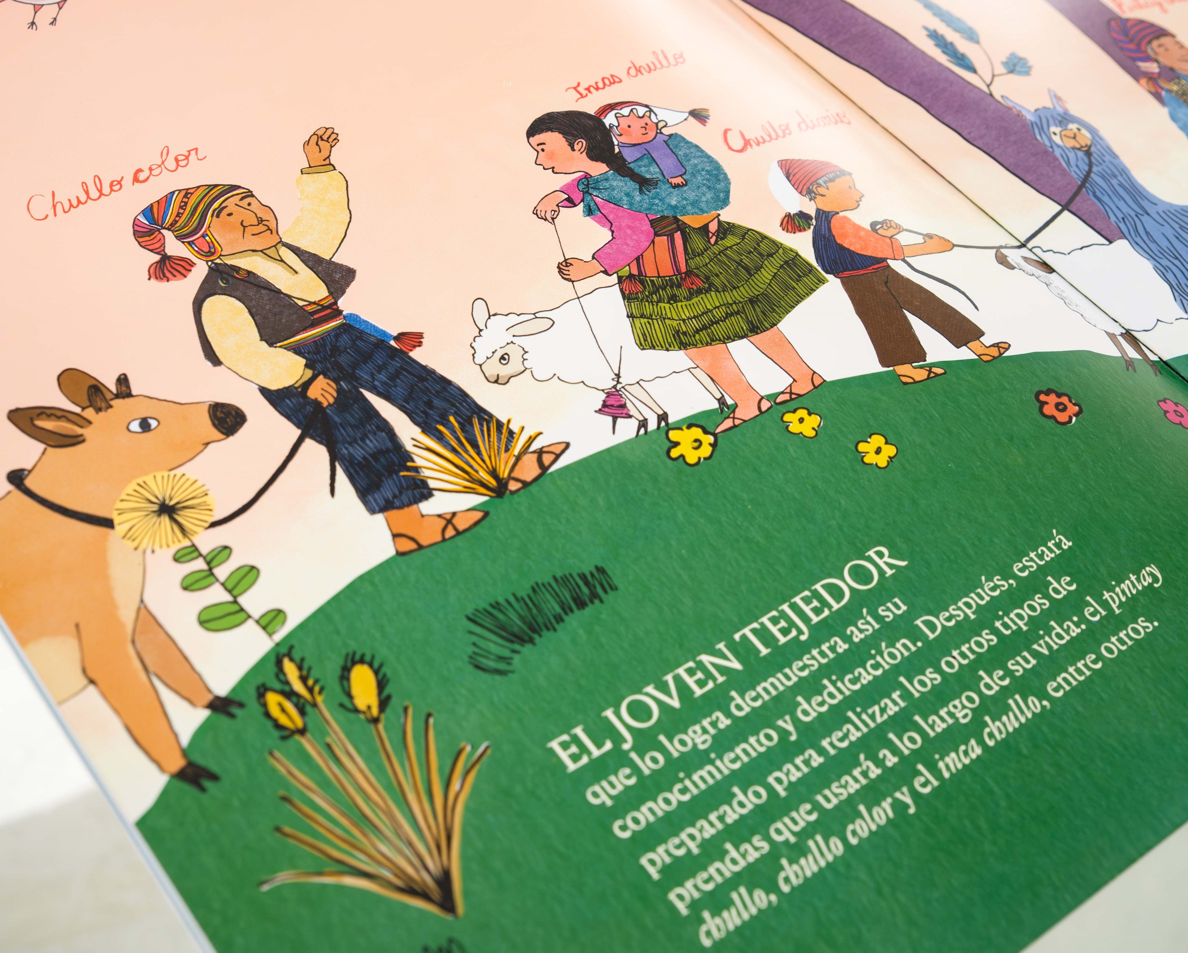 Libro Taquile tejidos, color y vida