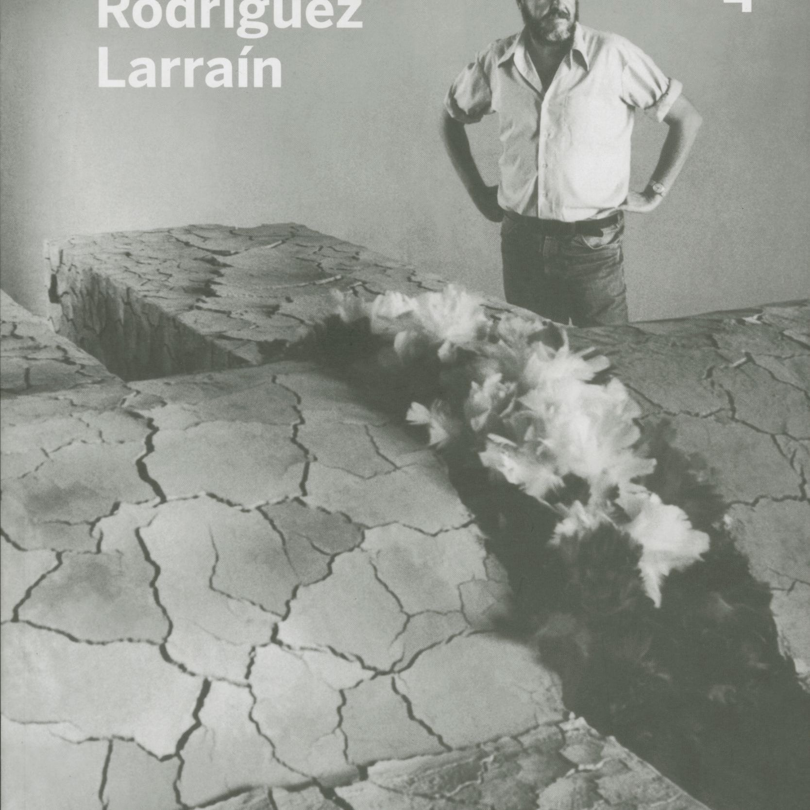 08A00003EmilioRodriguezLarrain.jpg