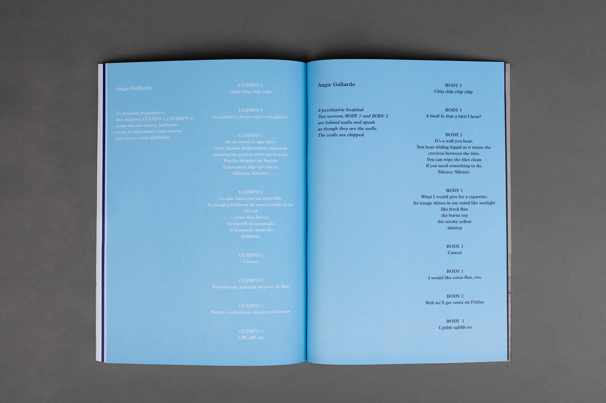 Dos cielos azules. Cecilia Jurado Chueca.
