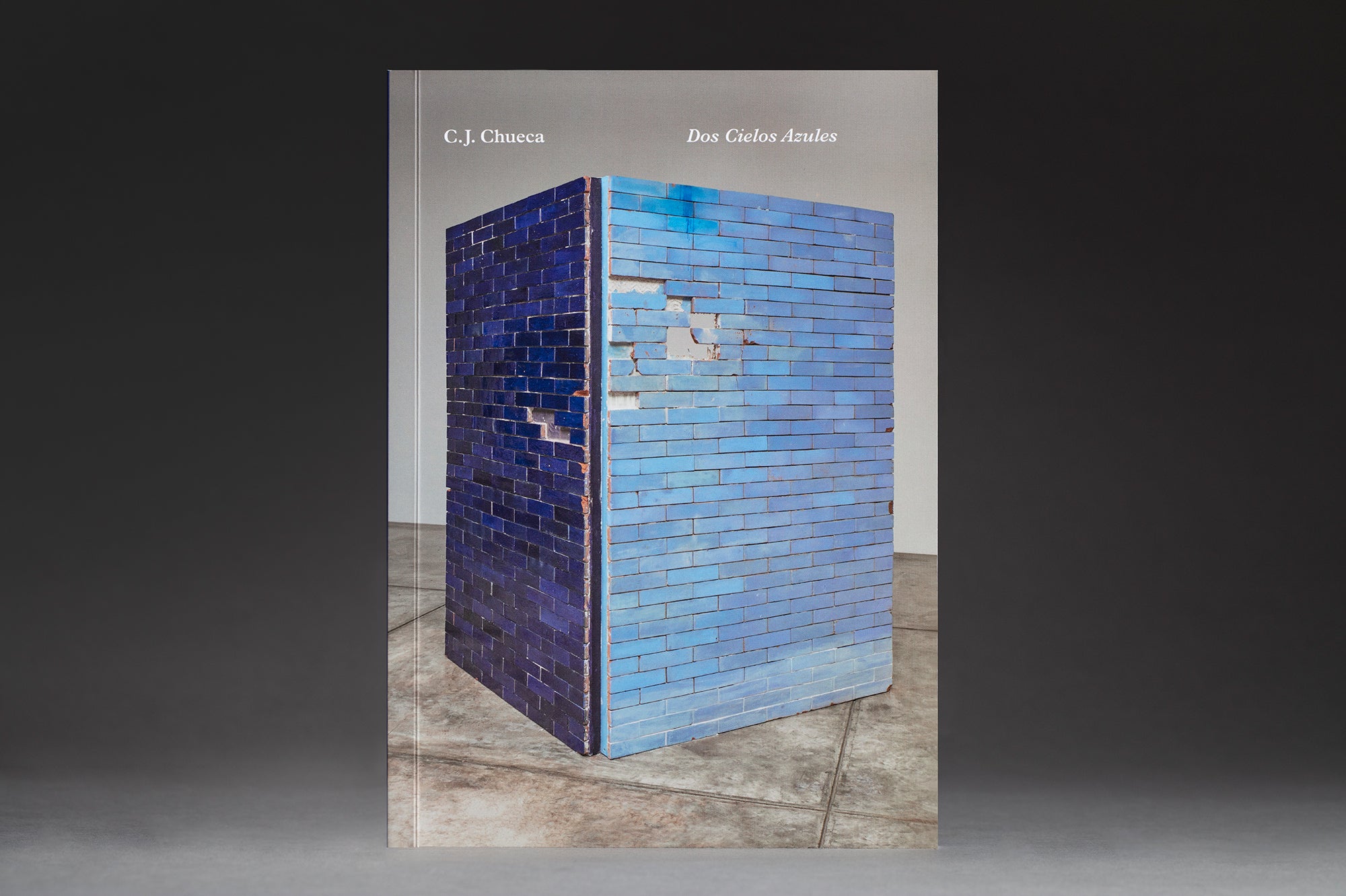 Dos cielos azules. Cecilia Jurado Chueca.