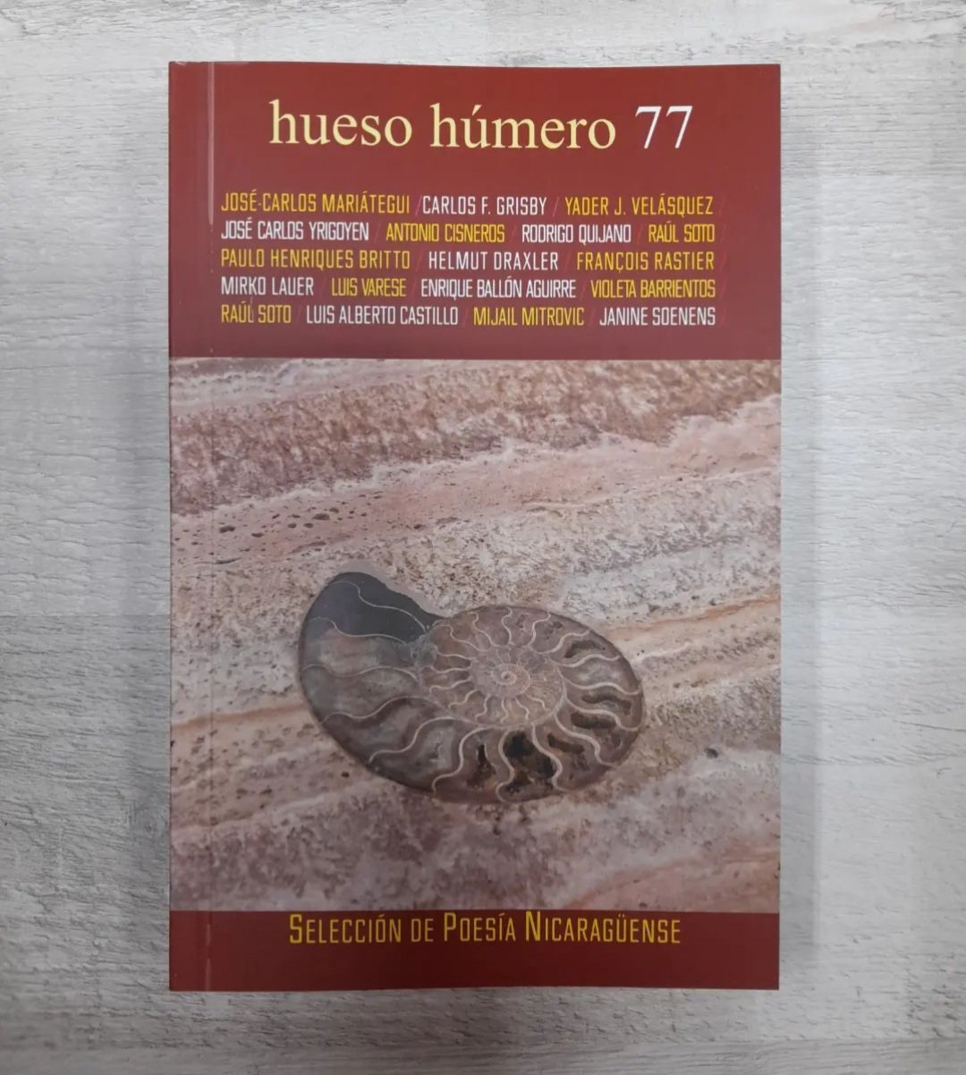 Hueso Húmero N° 77