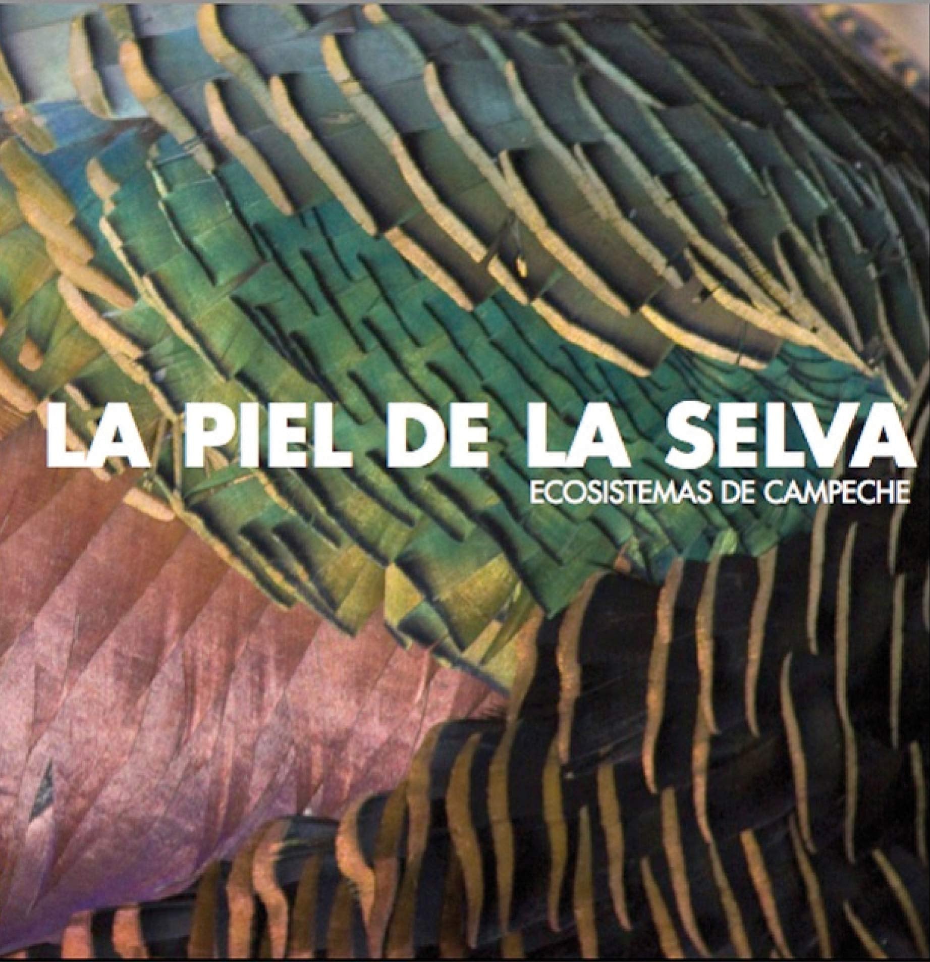 The Skin of the Jungle. Ecosystems of Campeche.