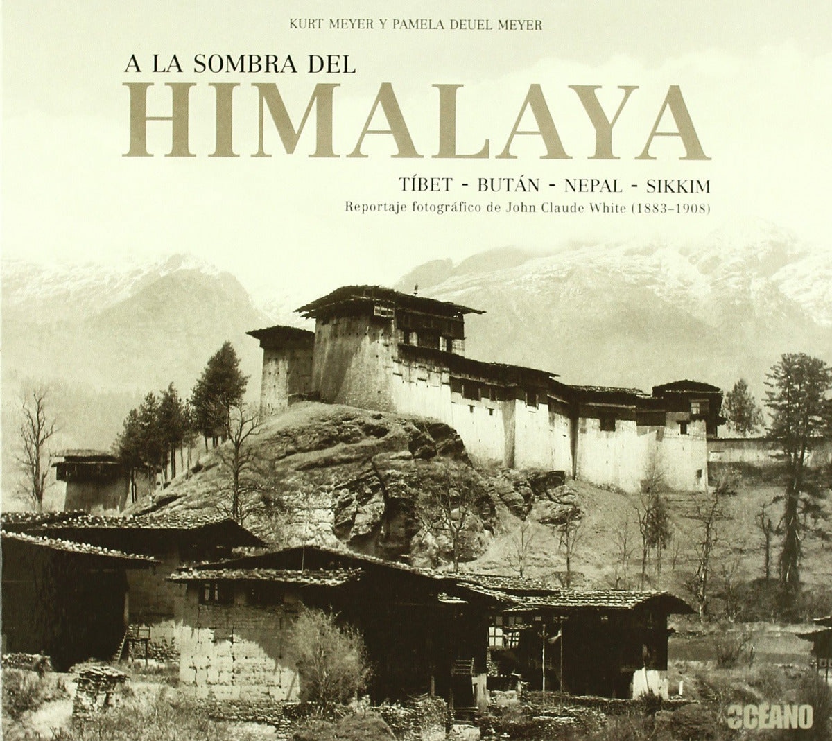sombra-del-himalaya.jpg